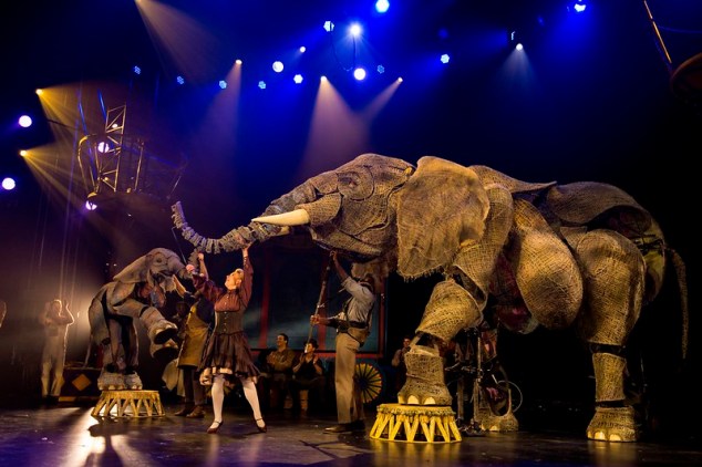 48479901342_c7fb47bf5e_c